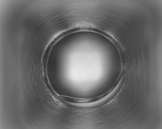 X0000056311022200509231915