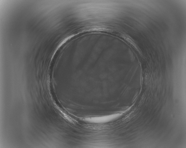 X0000056311024200509231915