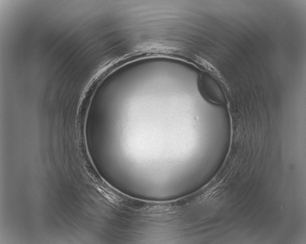 X0000056311027200509231915