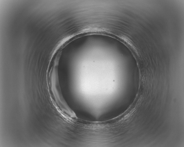 X0000056311030200509231915