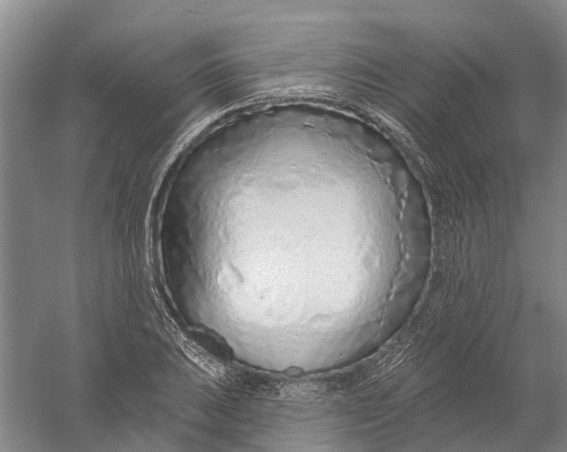 X0000056311031200509231915