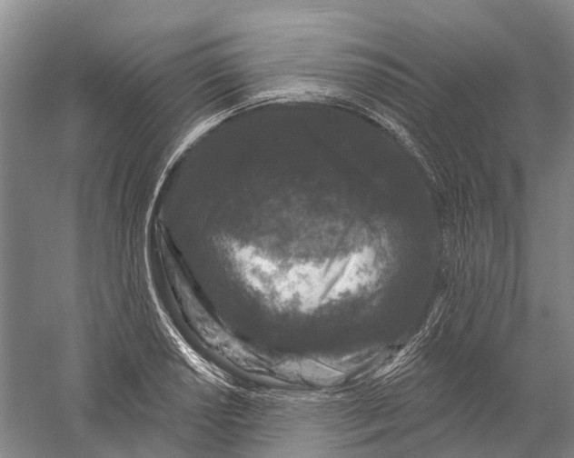 X0000056311034200509231915