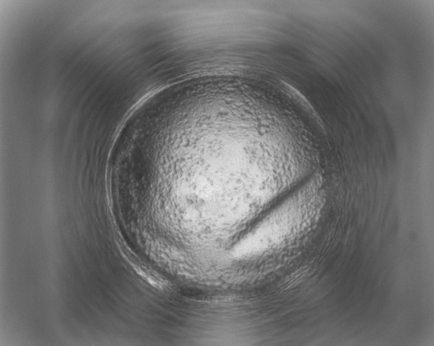 X0000056311035200509231915