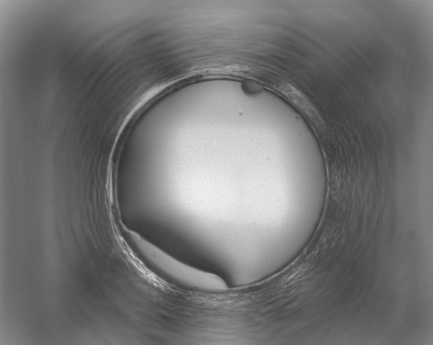 X0000056311036200509231915