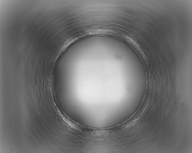 X0000056311041200509231915