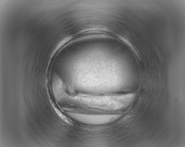 X0000056311042200509231915