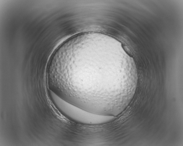 X0000056311044200509231915