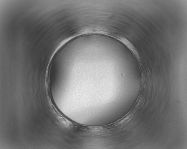 X0000056311052200509231915