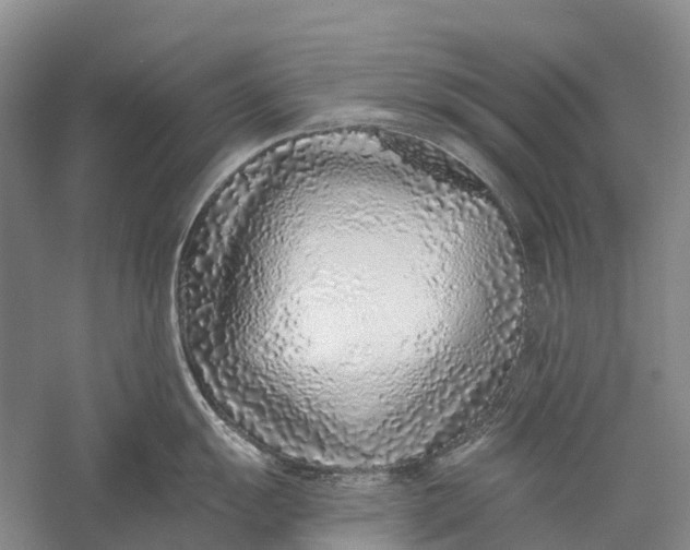 X0000056311055200509231915
