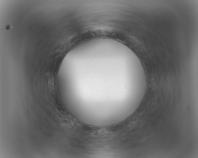 X0000056311061200509231914
