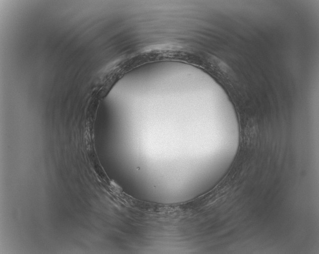 X0000056311062200509231914