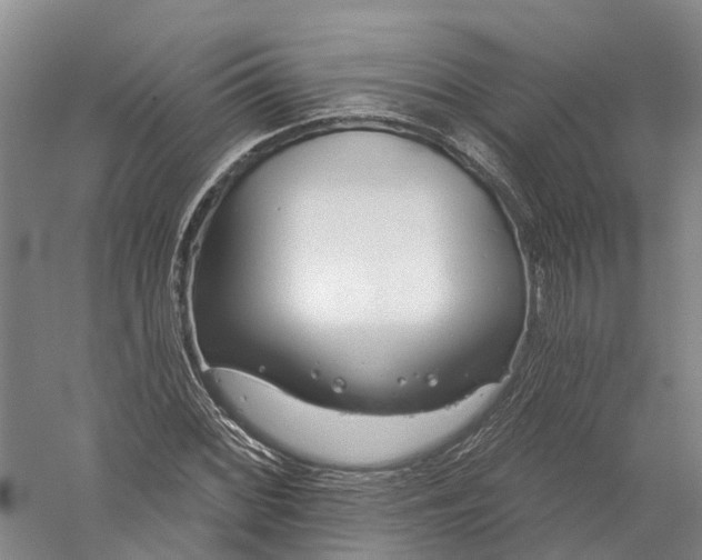 X0000056311068200509231914