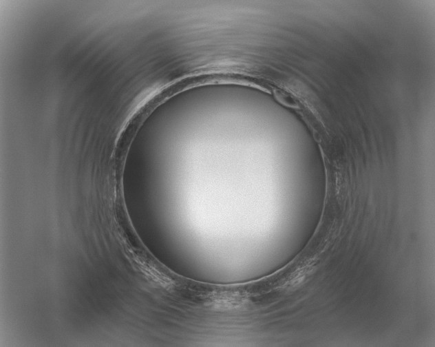 X0000056311069200509231914