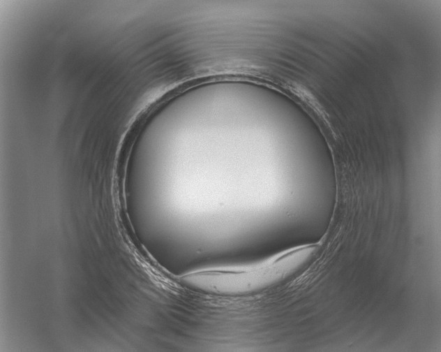 X0000056311072200509231914