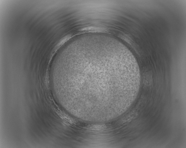 X0000056311074200509231914