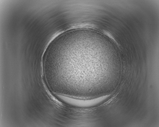 X0000056311079200509231914