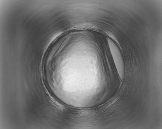 X0000056311087200509231914
