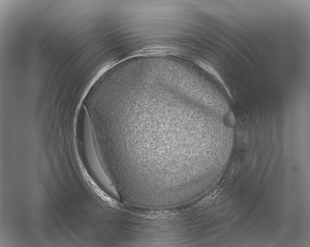 X0000056311091200509231914
