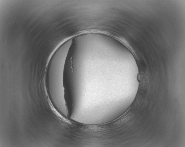 X0000056311100200509231914
