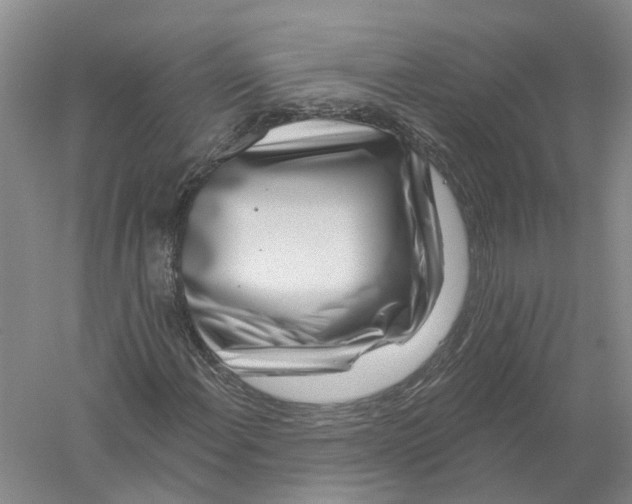 X0000056311108200509231913