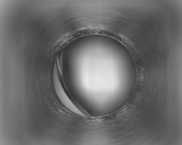 X0000056311110200509231913
