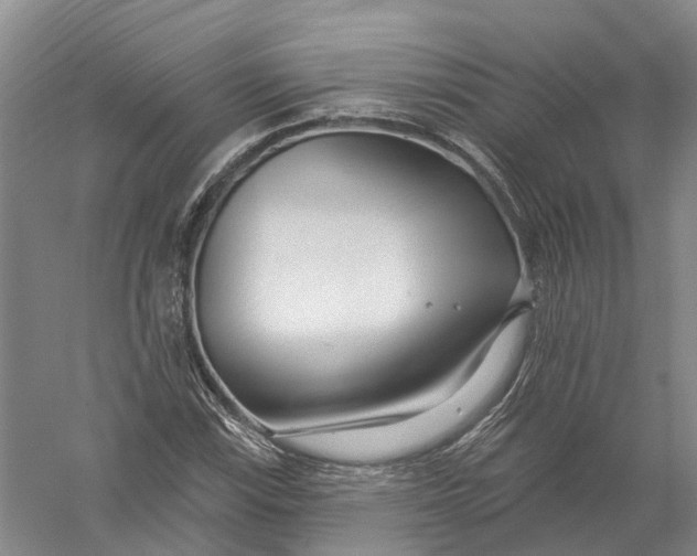 X0000056311115200509231913