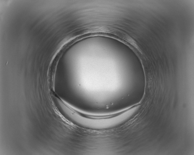 X0000056311116200509231913