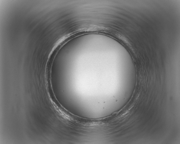 X0000056311122200509231913