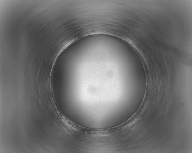 X0000056311145200509231914