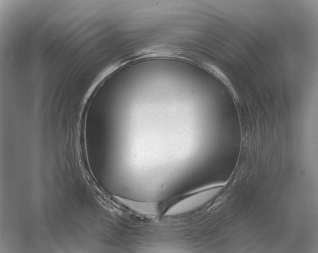 X0000056311146200509231914