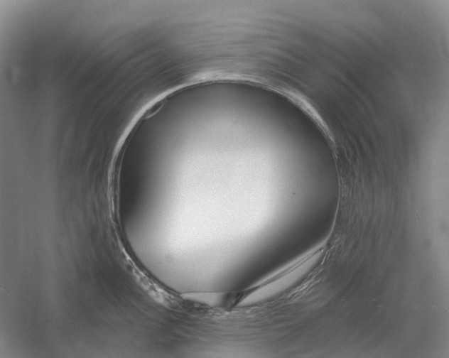 X0000056311148200509231914