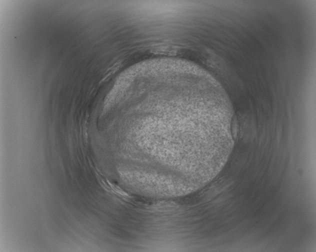X0000056311154200509231913