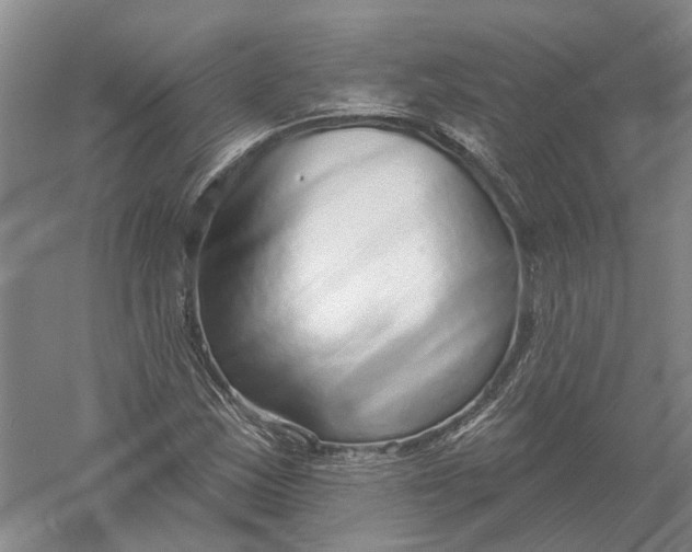 X0000056311163200509231913