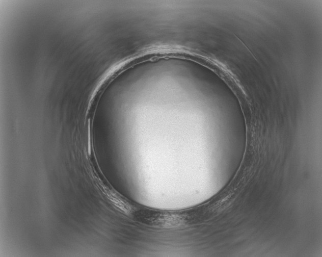 X0000056311175200509231912