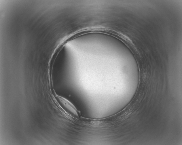 X0000056311176200509231912