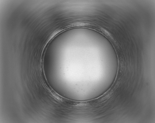 X0000056311178200509231912