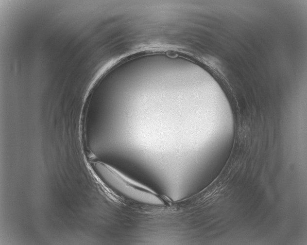 X0000056311183200509231912