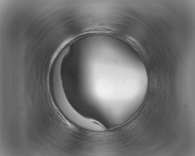 X0000056311188200509231912