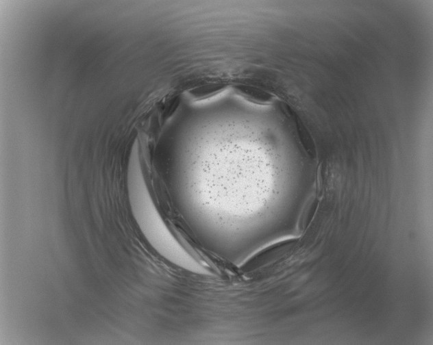 X0000056311202200509231911