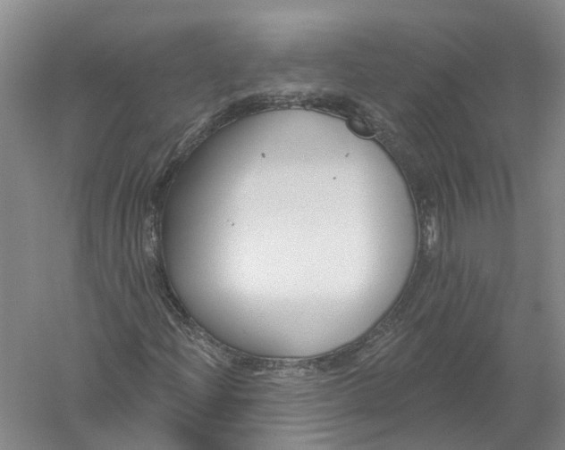 X0000056311204200509231911