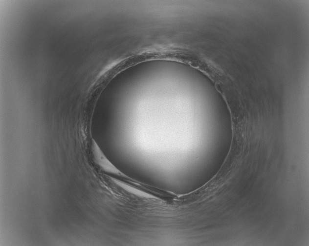 X0000056311206200509231911
