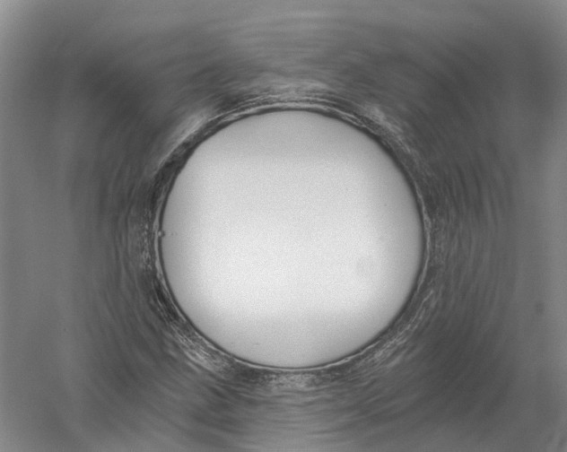 X0000056311211200509231911