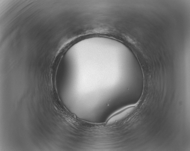 X0000056311214200509231911