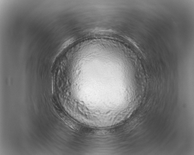 X0000056311219200509231912