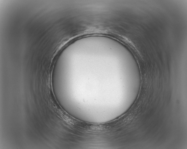 X0000056311220200509231912