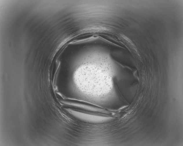 X0000056311226200509231912