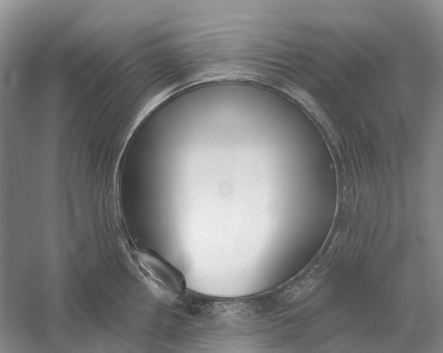 X0000056311242200509231912