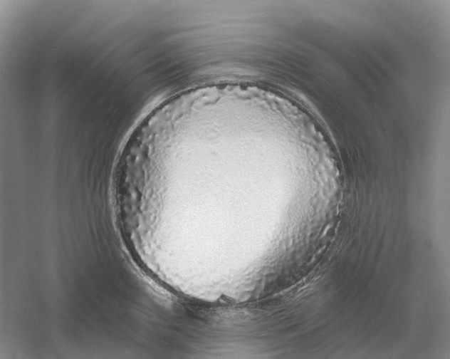 X0000056311243200509231912