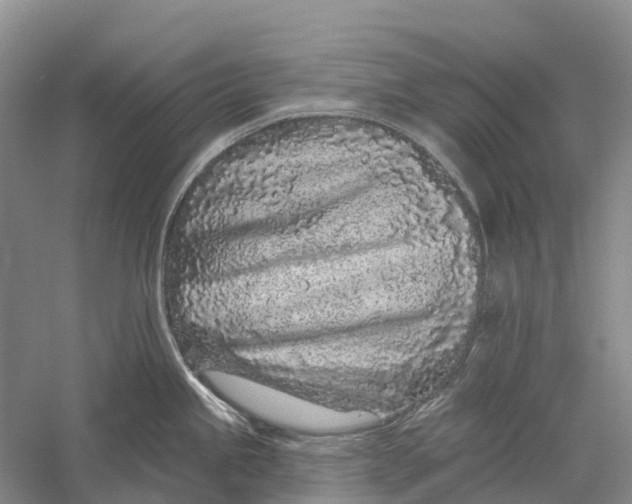 X0000056311245200509231912