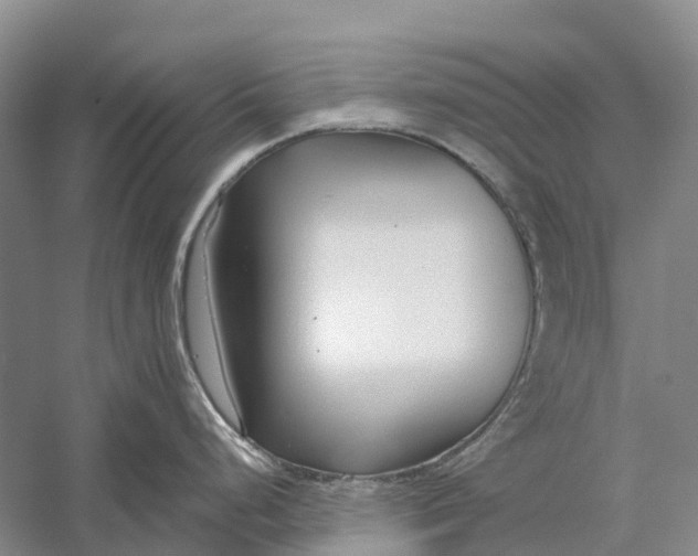 X0000056311248200509231912